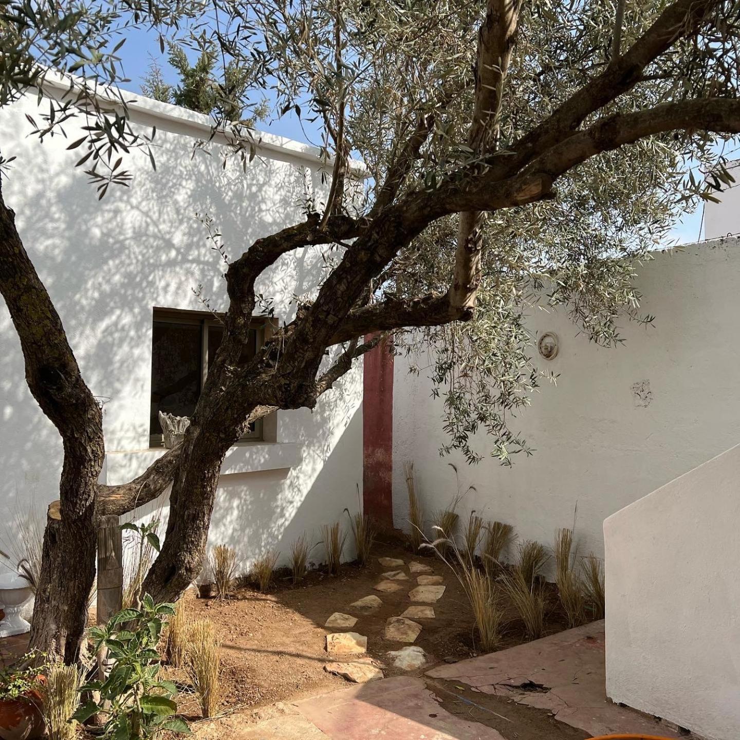 Maison D'Hotes La Ferme Aziza Φεζ Εξωτερικό φωτογραφία